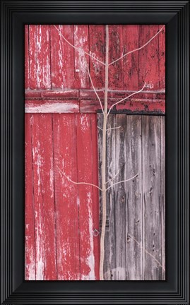 Framed Boundaries Print