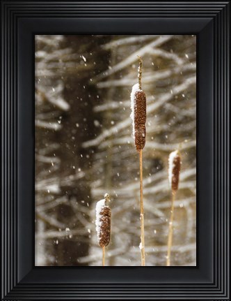 Framed Catch My Drift Print