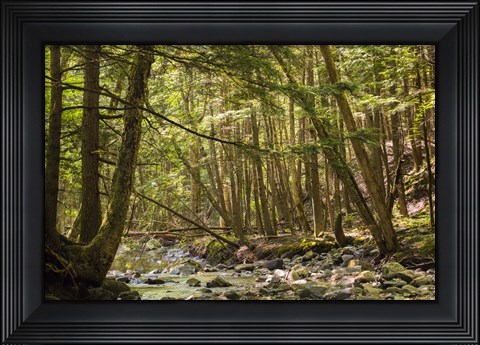 Framed Charles Brown Brook Print
