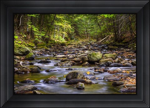 Framed Chase Brook 2 Print