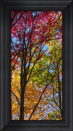 Framed Color Blend Print