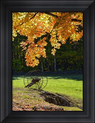 Framed Color Wheel Print