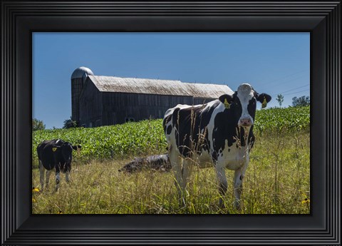 Framed Dairy Farm Print