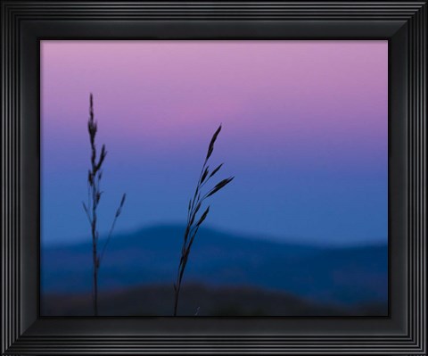 Framed Dusk In A Field Print