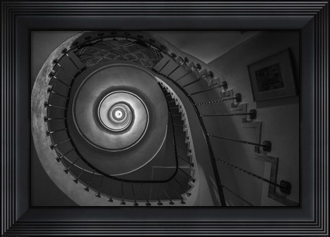 Framed Finding Fibonacci Print