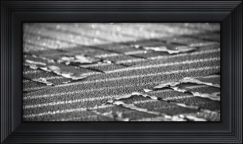 Framed Frost Lines Print