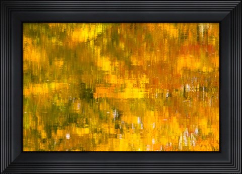 Framed Glowing Waters Print