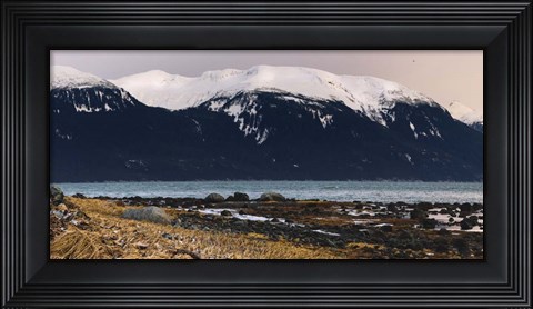 Framed Grassy Shore Print