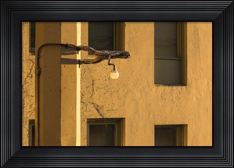 Framed Horizontal Print