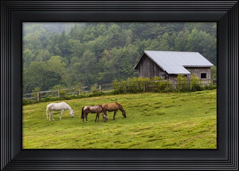 Framed Horse Farm Print