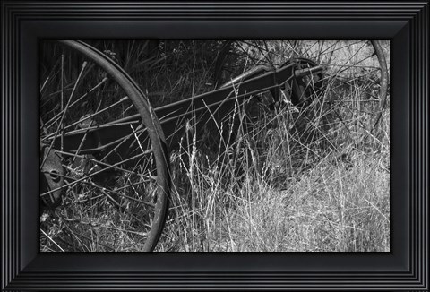 Framed Iron And Hay Print