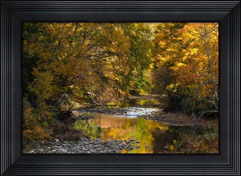 Framed Meandering Colors Print