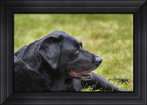 Framed Old Girl Print