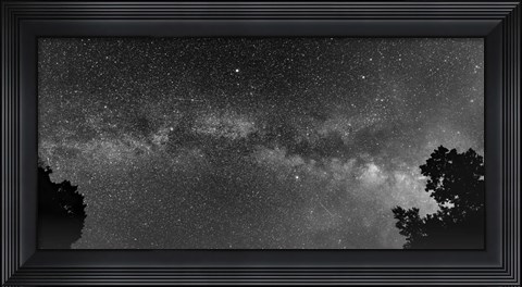 Framed Overarching Print