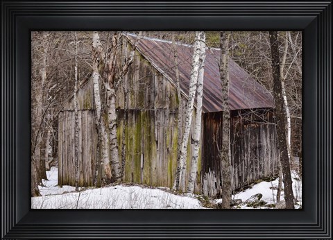 Framed Sharon Barn Print
