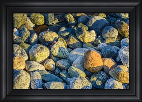 Framed Shoreline Stones Print