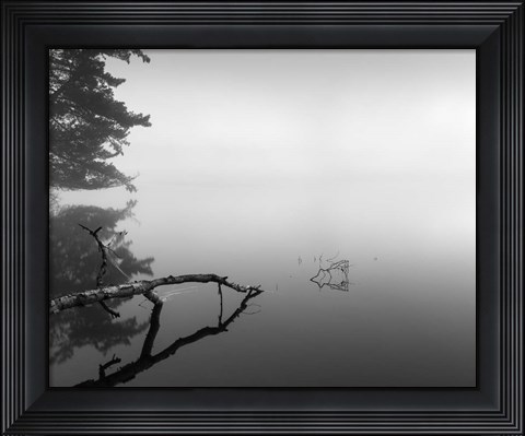 Framed Silent Morning Print