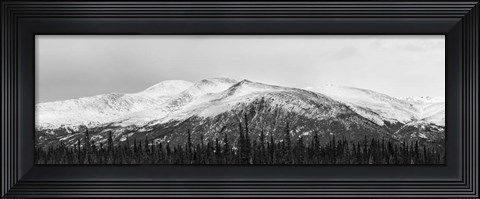 Framed Snowscape Print
