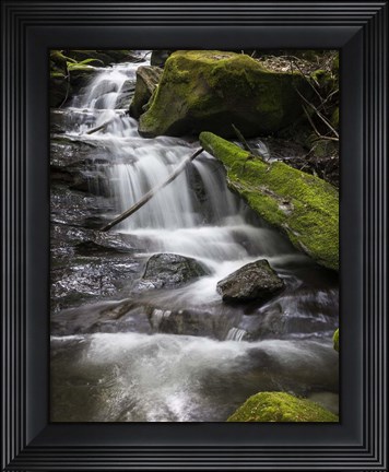 Framed Spring Waters Print