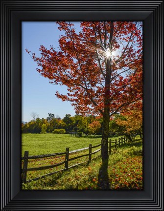 Framed Sunburst In Fall Print