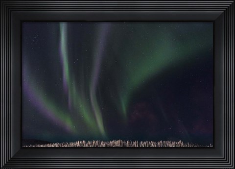 Framed Swirls Of Wonder Print