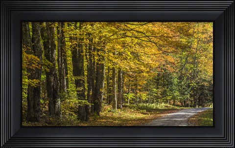 Framed Take Me Home Print