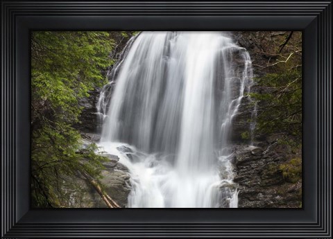 Framed Tranquility Print
