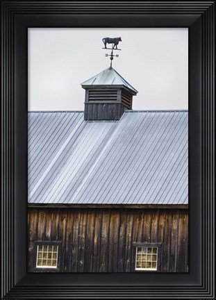 Framed Weathervane Print