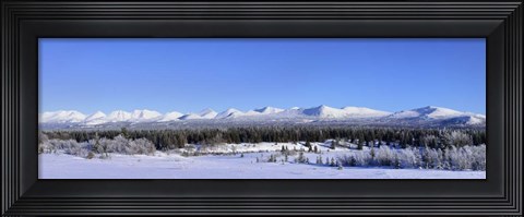 Framed Winter Wilderness Print