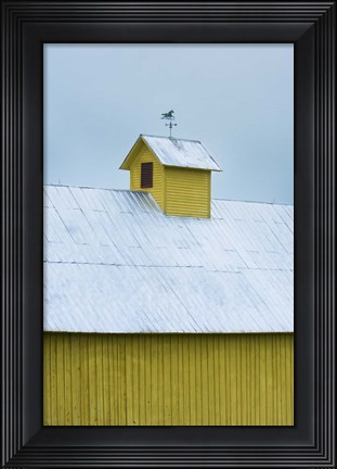 Framed Yellow Cupula Print