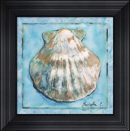 Framed Shell 1 Print