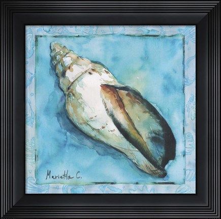 Framed Shell 2 Print