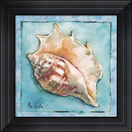Framed Shell 3 Print