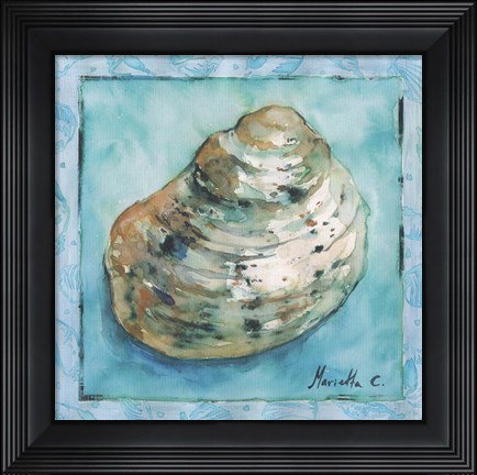 Framed Shell 4 Print