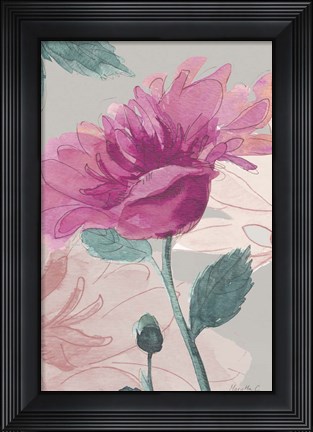 Framed Flower Sketch 1 Print