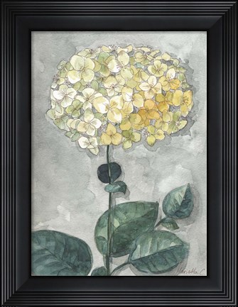 Framed Flowers Study 1 Print