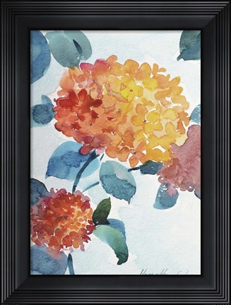 Framed Watercolor Hortensia 2 Print