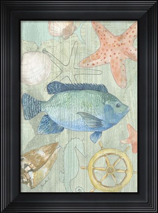 Framed Coastal II Print