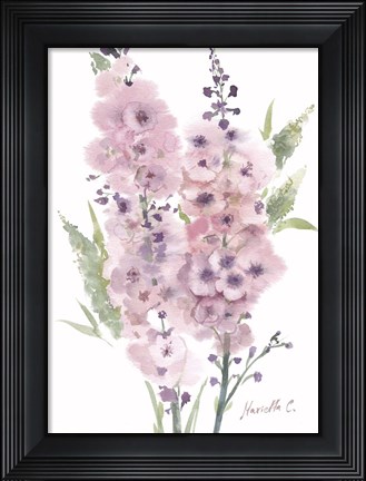 Framed Flower Series 4 Print