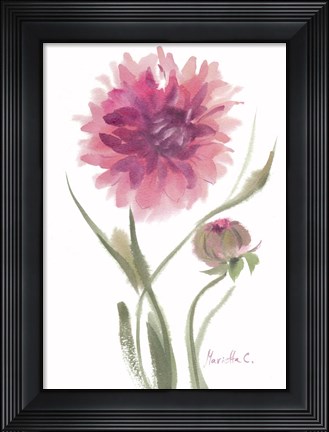 Framed Flower Series 6 Print