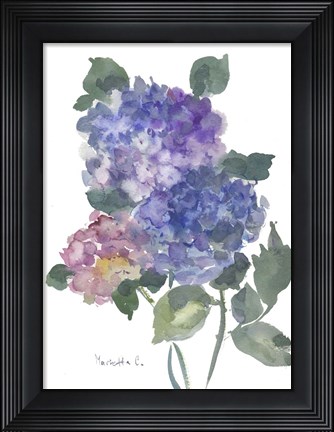 Framed Hidragenia 1 Print