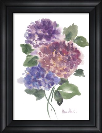 Framed Hidragenia 2 Print