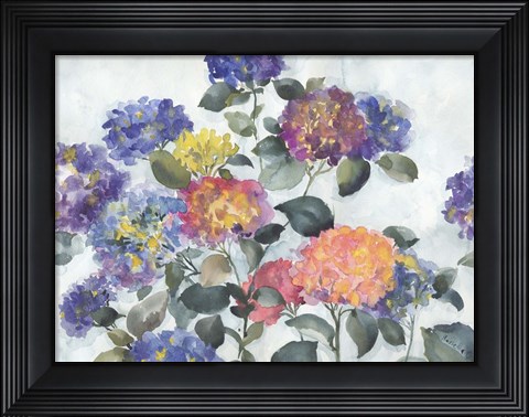 Framed Hortensia Delight Print