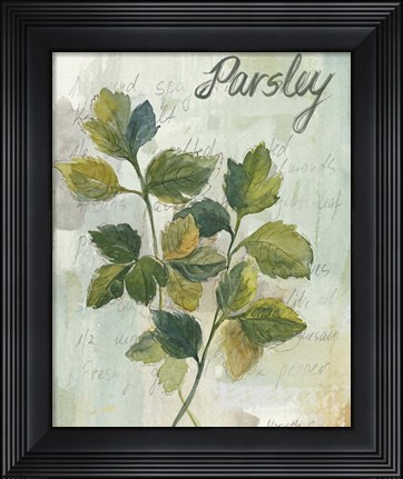 Framed Parsley Print