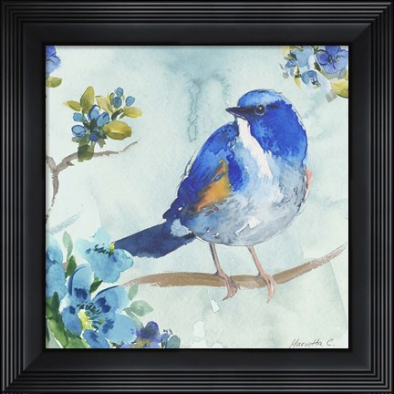 Framed Bird On Branch 1 Print