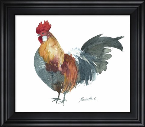Framed Rooster A Print