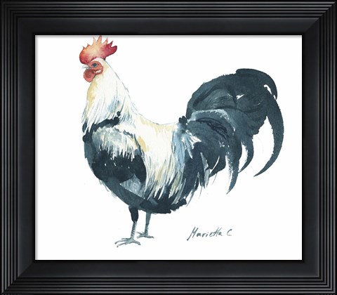 Framed Rooster C Print