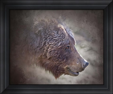 Framed Grizzly Bear Boar Print
