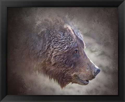 Framed Grizzly Bear Boar Print