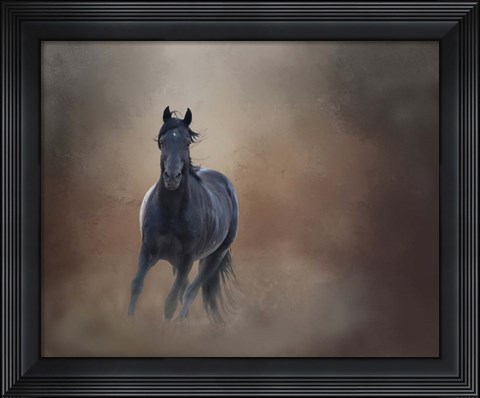 Framed Knighthawk - S Steens Wild Stallion Print